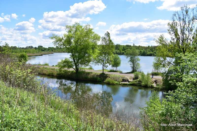 Zespol przyrodniczo krajobrazowy Zabie Doly Park teren rekreacyjny 9