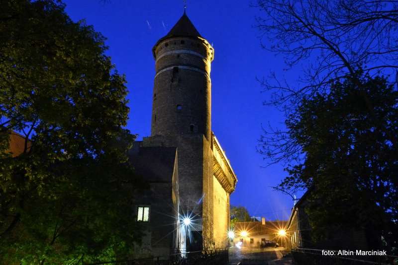 Zamek Kapituły Warmińskiej w Olsztynie 7
