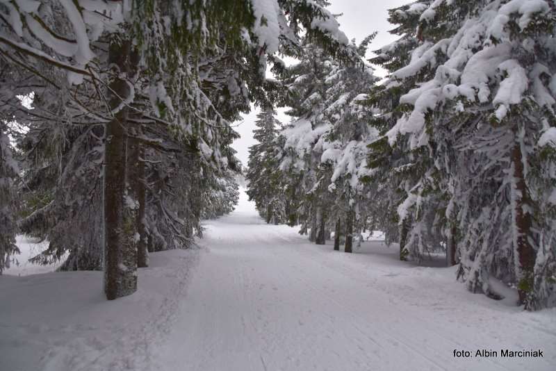 Karkonosze GSS zima 11