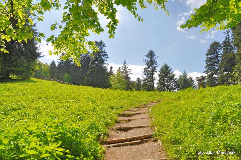 Pieniny szlak na Trzy Korony 1